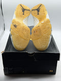 Air Jordan 9 Retro City of Flight (WORN)