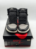 Air Jordan 1 Retro High Shadow (2018) (WORN)