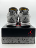 Air Jordan 4 Retro Cool Grey (2019) (WORN)