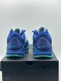 Nike Kobe 5 Protro X-Ray (WORN)