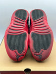 Air Jordan 12 Retro Flu Game (2016) (WORN)