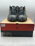 Air Jordan 12 Retro The Master (WORN)