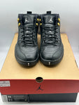 Air Jordan 12 Retro The Master (WORN)