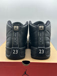 Air Jordan 12 Retro The Master (WORN)