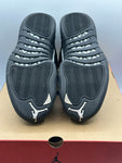 Air Jordan 12 Retro The Master (WORN)