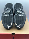 Air Jordan 12 Retro The Master (WORN)