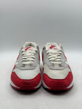 Nike Air Max 1 Anniversary Red (2017/2018 Restock Pair) (WORN/NO BOX)