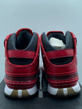Nike Lebron 6 Shooting Stars PE Promo Sample (WORN)