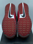 Nike Lebron 6 Shooting Stars PE Promo Sample (WORN)