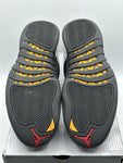 Air Jordan 12 Retro Low Taxi (2004) (WORN)