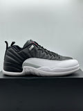 Air Jordan 12 Retro Low Playoffs (WORN)