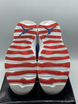 Air Jordan 10 Retro Tinker (WORN)