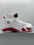 Air Jordan 14 Retro Rip Hamilton 2019 (WORN)