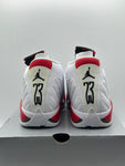 Air Jordan 14 Retro Rip Hamilton 2019 (WORN)