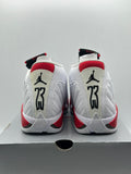 Air Jordan 14 Retro Rip Hamilton 2019 (WORN)