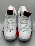 Air Jordan 14 Retro Rip Hamilton 2019 (WORN)