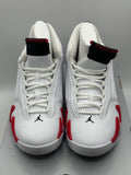 Air Jordan 14 Retro Rip Hamilton 2019 (WORN)