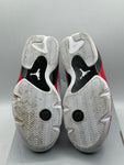 Air Jordan 14 Retro Rip Hamilton 2019 (WORN)