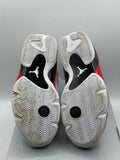 Air Jordan 14 Retro Rip Hamilton 2019 (WORN)