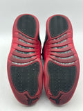 Air Jordan 12 Retro Flu Game (2025) (WORN/NO BOX)