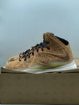 Nike LeBron X EXT Cork (WORN/DMG BOX)
