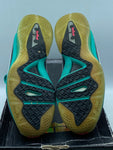 Nike LeBron 9 PS Elite South Beach (WORN)