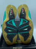 Nike LeBron 9 PS Elite South Beach (WORN)