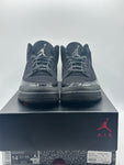 Air Jordan 3 Retro Black Cat (2025) (WORN)