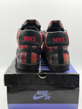 Nike SB Blazer Todd Jordan (WORN)