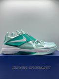 Nike KD 4 Easter (2025) (WORN)