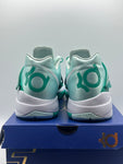 Nike KD 4 Easter (2025) (WORN)
