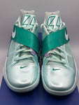 Nike KD 4 Easter (2025) (WORN)