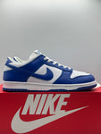 Nike Dunk Low SP Kentucky (WORN)