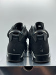 Air Jordan 6 Retro Chrome (WORN)