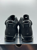 Air Jordan 6 Retro Chrome (WORN)