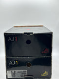 Air Jordan Beginning Moments Pack 1/1 (WORN)