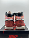 Air Jordan 1 Retro High OG Spider-Man Across the Spider-Verse (WORN)