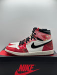 Air Jordan 1 Retro High OG Spider-Man Across the Spider-Verse (WORN)