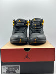 Air Jordan 12 Retro Black Taxi (WORN)