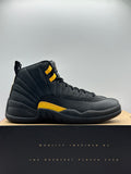 Air Jordan 12 Retro Black Taxi (WORN)