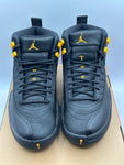 Air Jordan 12 Retro Black Taxi (WORN)