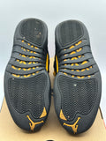 Air Jordan 12 Retro Black Taxi (WORN)