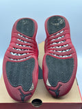 Air Jordan 12 Retro Cherry (2023) (WORN)
