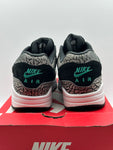 Nike Air Max 1 atmos Elephant (2017) (WORN)