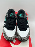 Nike Air Max 1 atmos Elephant (2017) (WORN)