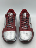 Nike Kobe 5 Protro Lower Merion Aces Away (2026) (WORN/NO BOX)