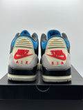 Air Jordan 3 Retro OG Rare Air (WORN)