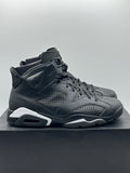 Air Jordan 6 Retro Black Cat (WORN)