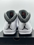 Air Jordan 10 Retro Steel (2013) (WORN)