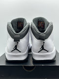 Air Jordan 10 Retro Steel (2013) (WORN)